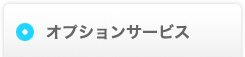 オプションサービス
