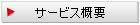 サービス概要